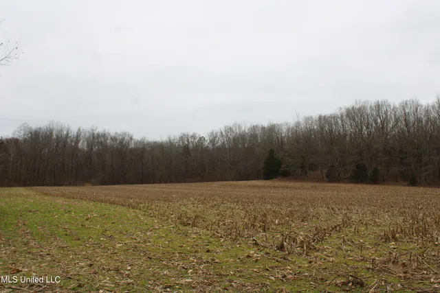 $95,000 | 6 Mill Pond Road, Lamar, MS 38642