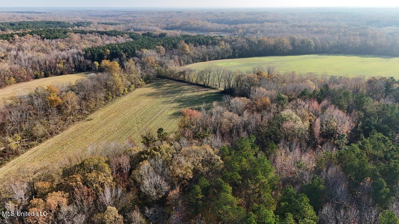 6 Mill Pond Road Lamar, MS 38642 - Photo 9 of 99 dji_fly_20241126_083054_0198_17326582883