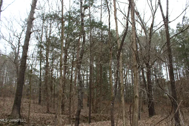 $95,000 | 6 Mill Pond Road, Lamar, MS 38642