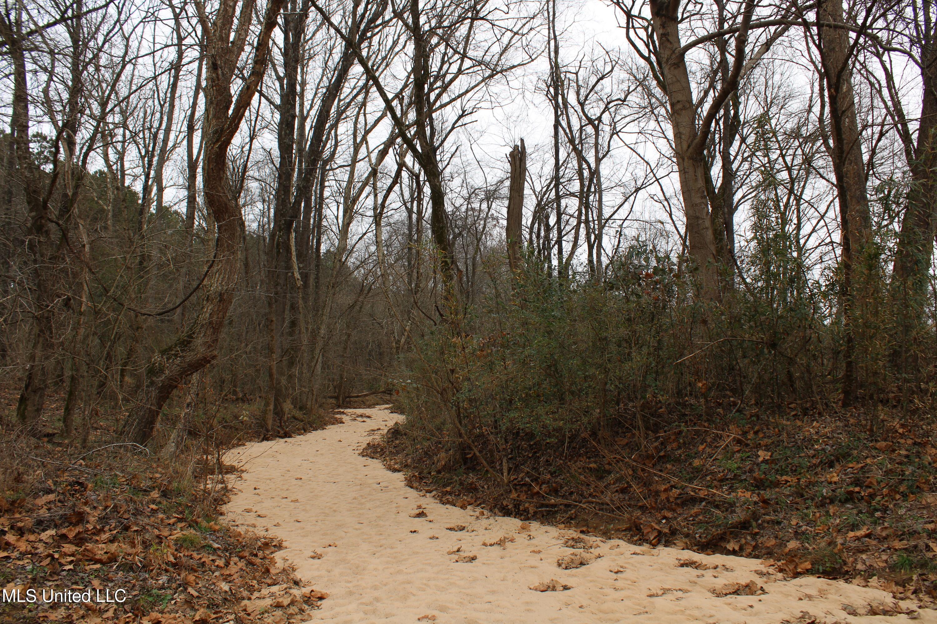 6 Mill Pond Road Lamar, MS 38642 - Photo 99 of 99 IMG_5319