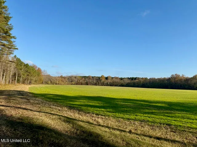 $95,000 | 6 Mill Pond Road, Lamar, MS 38642