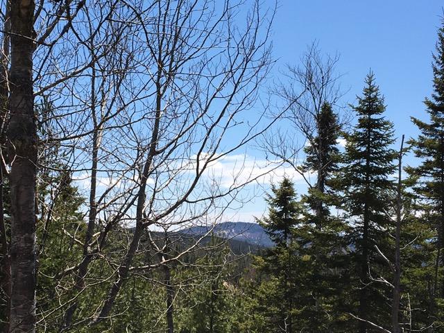 Lot #17 Grace Pond Road West Forks, ME 04985 - Photo 2 of 3 IMG_0362