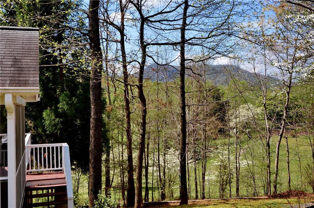 434 Canebrake Road Tryon, NC 28782 - Photo 15 of 16