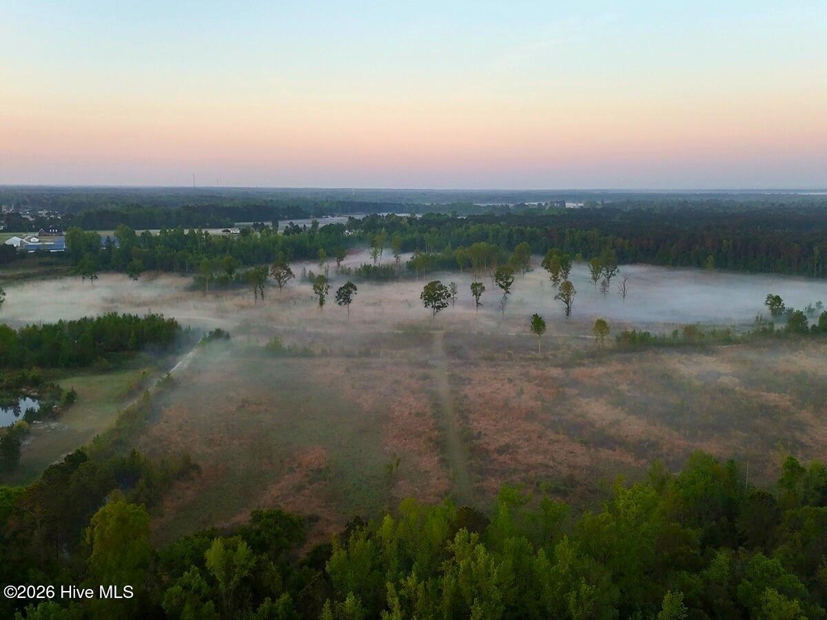 0 Durwood Evans Road Beulaville, NC 28518 - Photo 27 of 68 27.