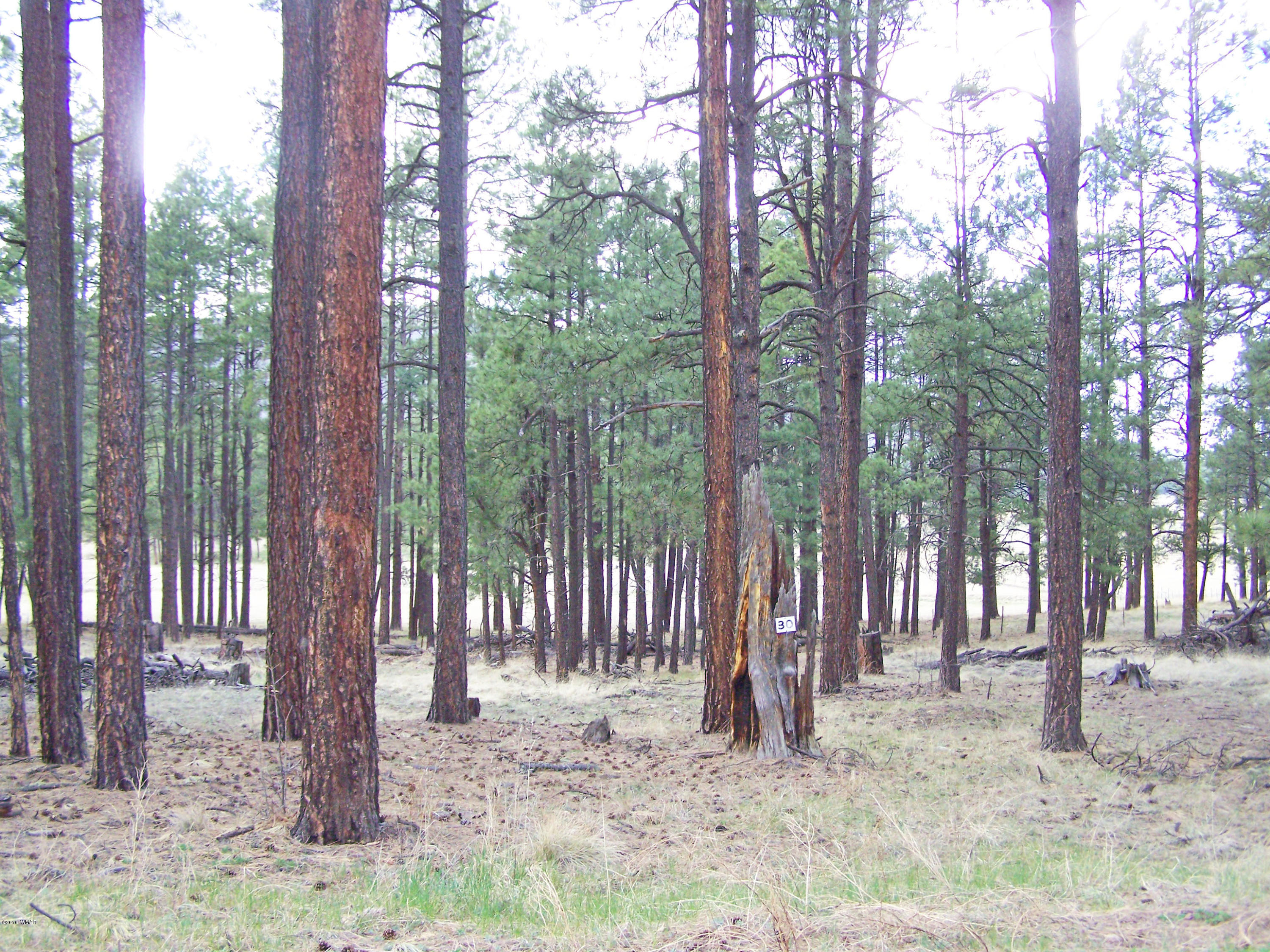 0 County Road Alpine, AZ 85920 - Photo 2 of 4