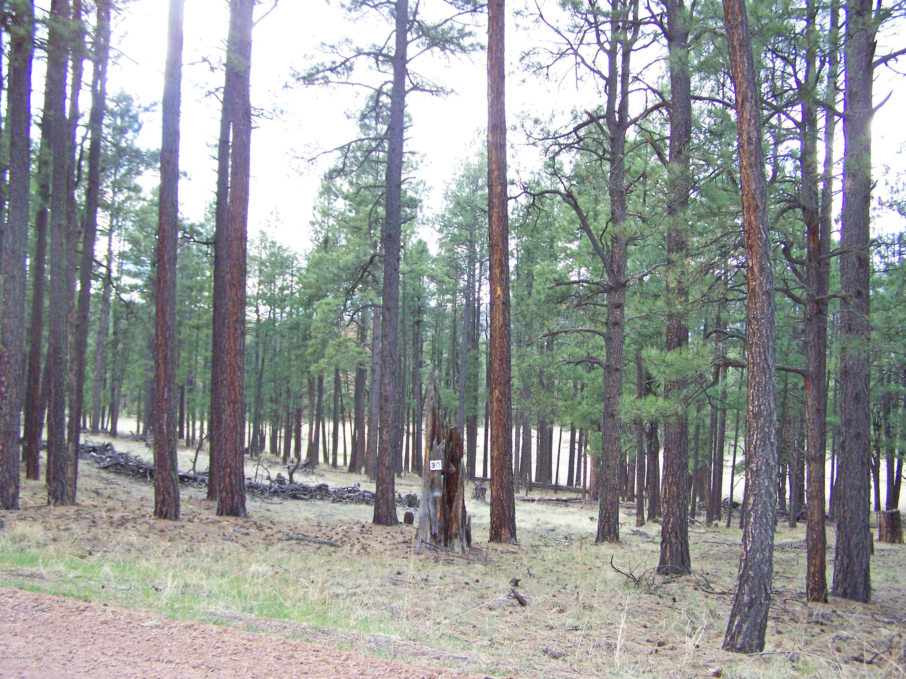 0 County Road Alpine, AZ 85920 - Photo 4 of 4