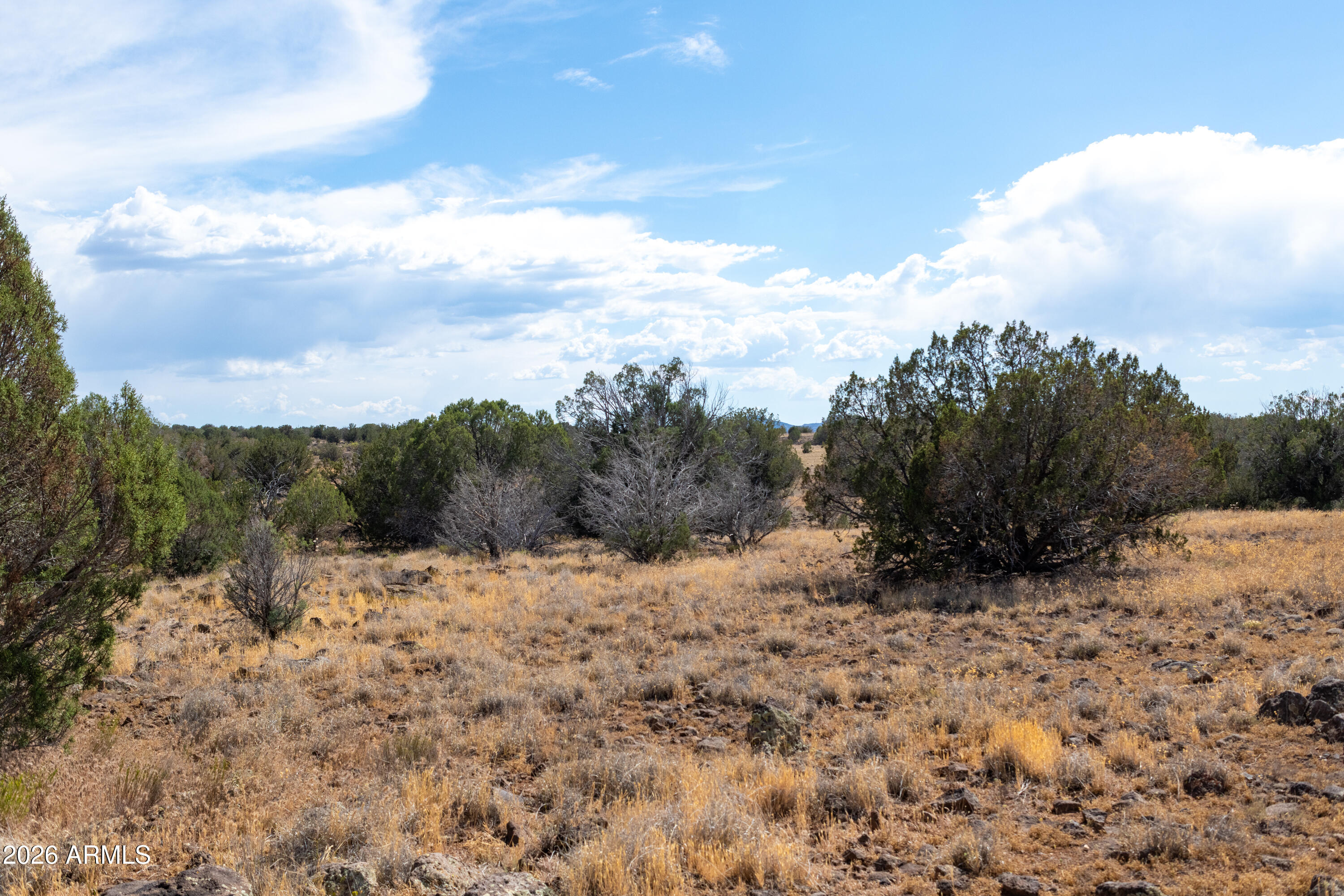 2.13-acres North Headwaters Road, Unit 7 Paulden, AZ 86334 - Photo 2 of 17 a view of a dry yard with mountains in the background