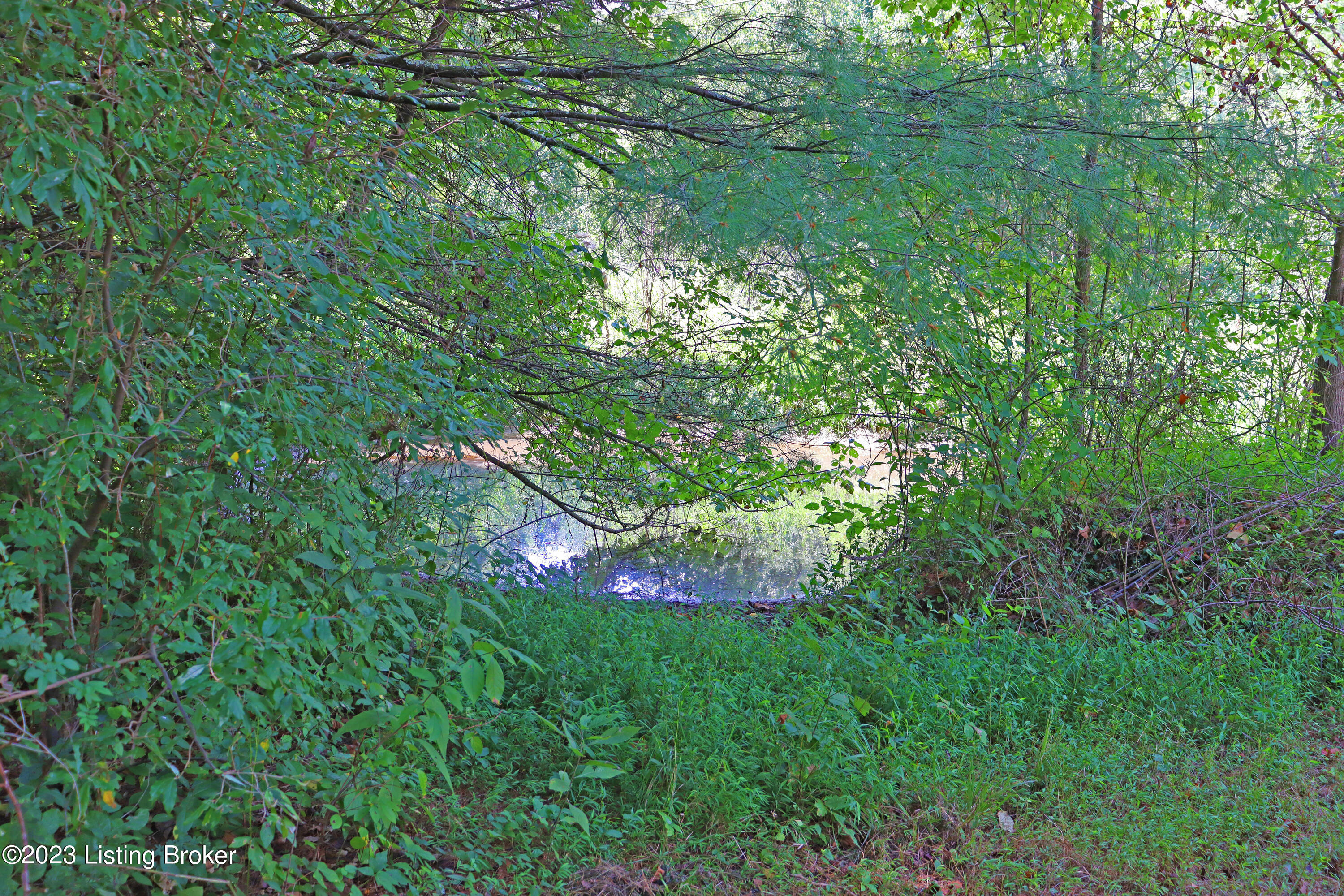 9006 River Road Turners Station, KY 40075 - Photo 21 of 39 Pond