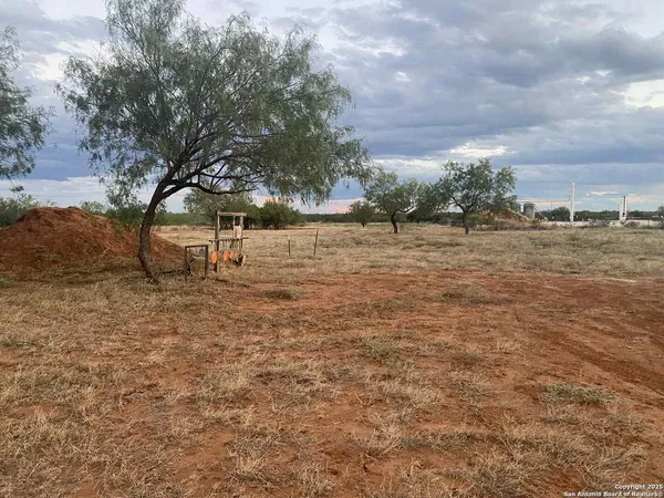 a view of a yard with trees