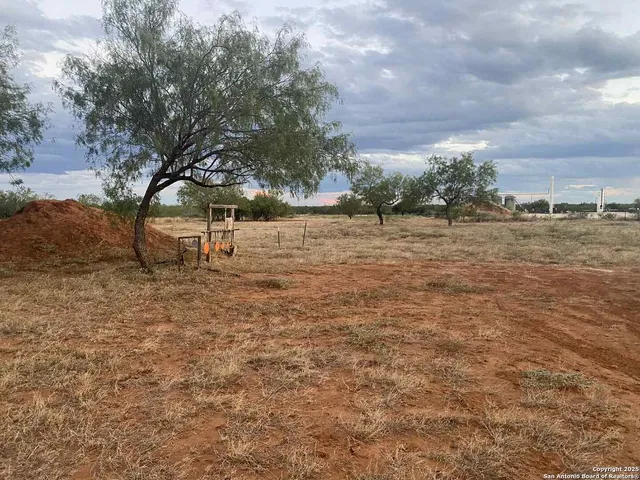 a view of a yard with trees