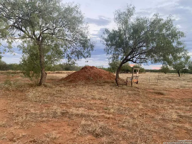 a view of a yard with a tree