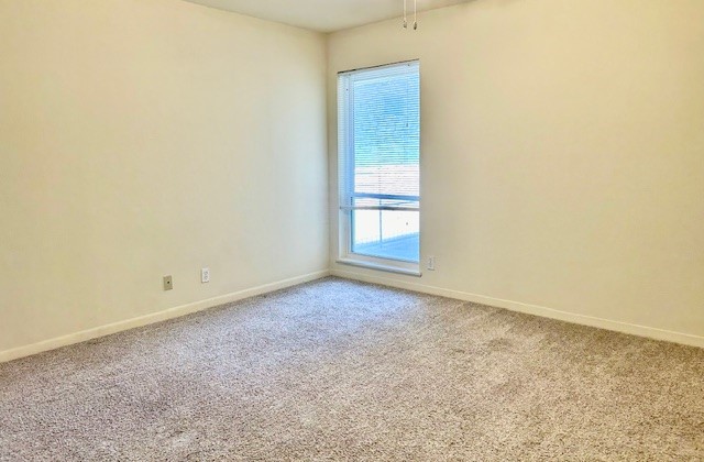 2800 Cole Street, Unit 205C Austin, TX 78705 - Photo 11 of 14