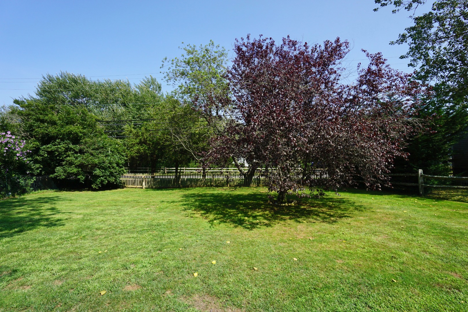 23 Surfside Road Nantucket, MA 02554 - Photo 32 of 33 Gallery Image 32