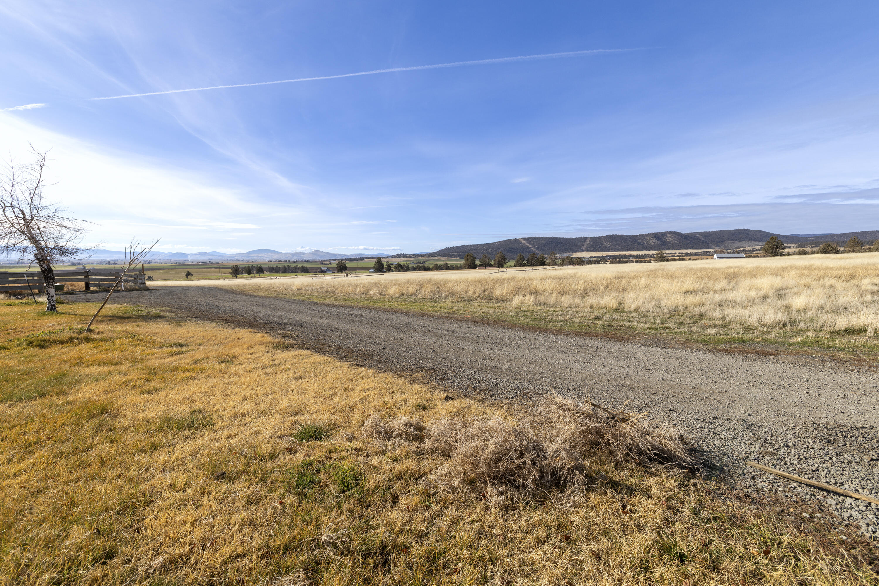 17465 Harpold Road Malin, OR 97632 - Photo 80 of 122 Driveway