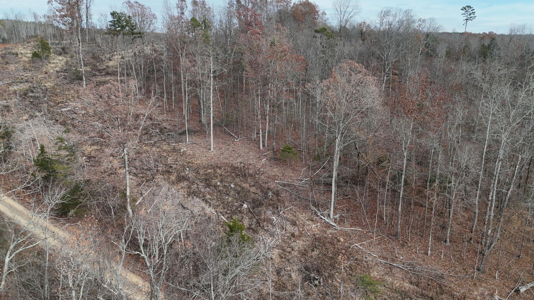 1 Lamontville Road Calhoun, TN 37309 - Photo 21 of 47 Gallery Image 21