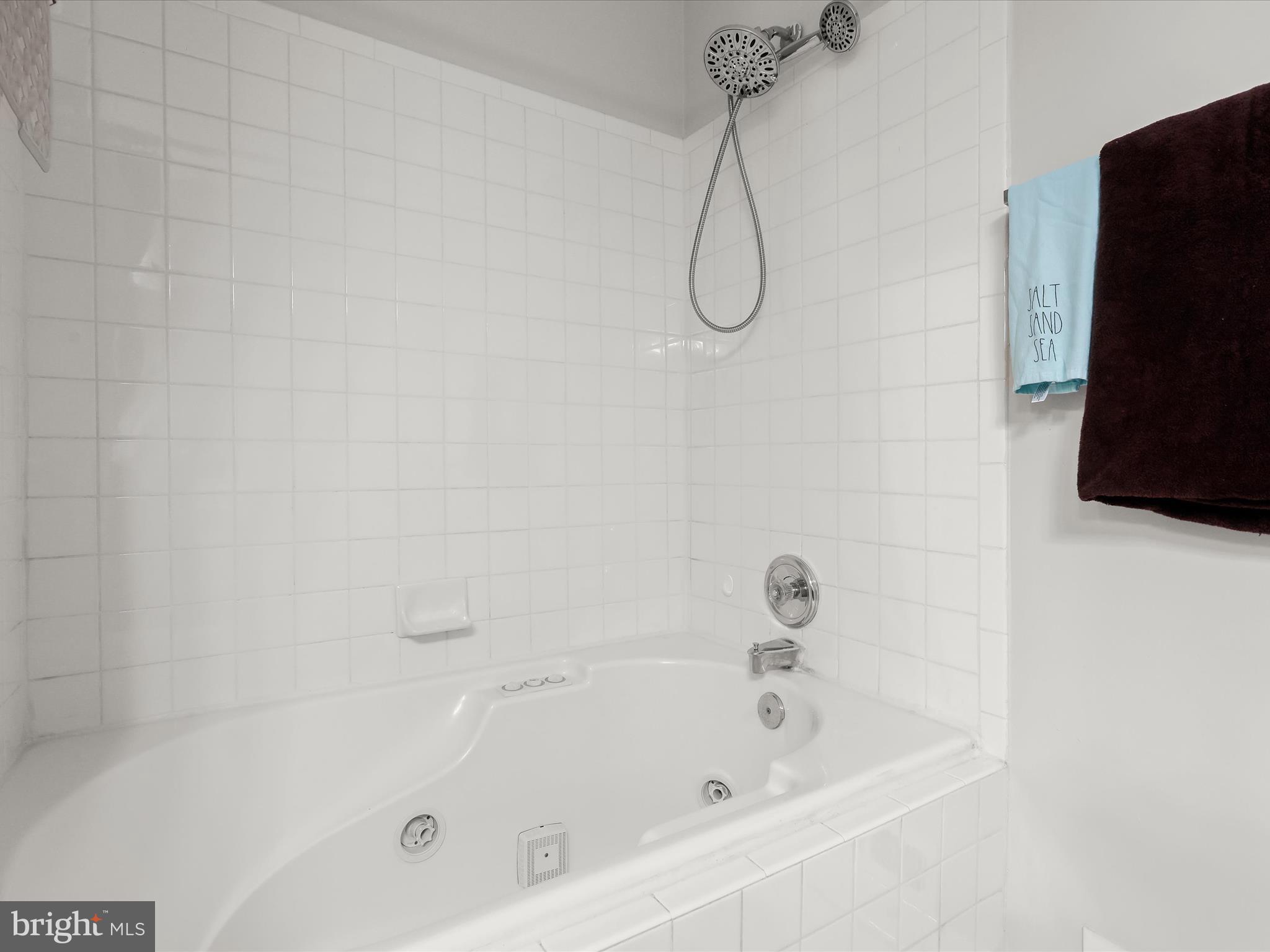8212 Spadderdock Way Laurel, MD 20724 - Photo 11 of 16 Jetted tub w/ shower head
