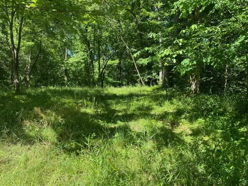 1200 Charlie Morrison Road Columbia, KY 42728 - Photo 17 of 17 Gallery Image 17