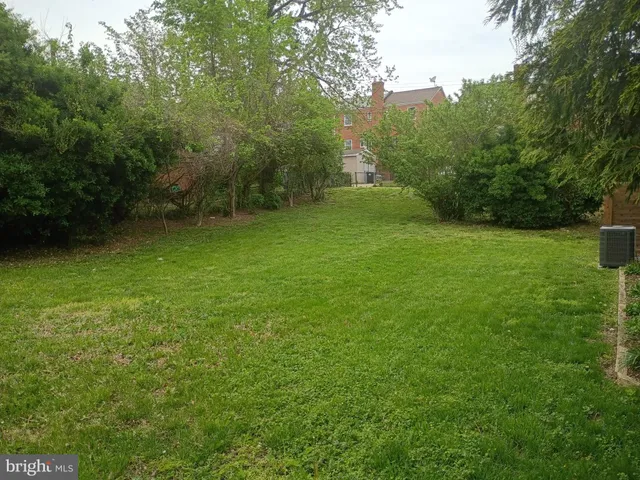 a view of a field of grass and trees
