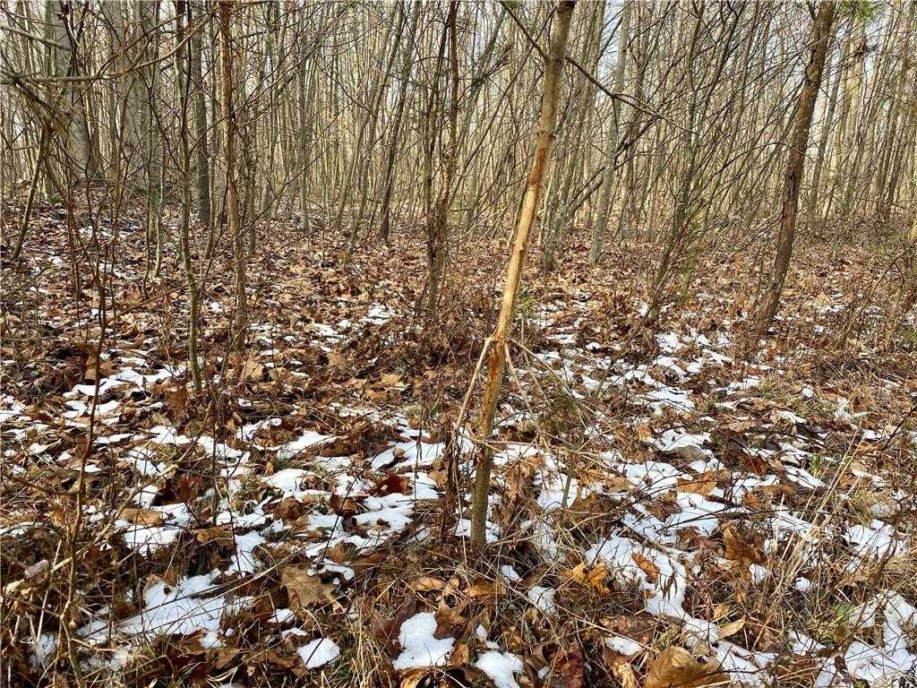 730 Lower Mudlic Road Mayport, PA 16240 - Photo 24 of 25