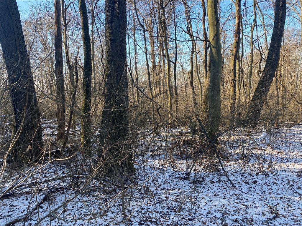 730 Lower Mudlic Road Mayport, PA 16240 - Photo 8 of 25 a view of a yard