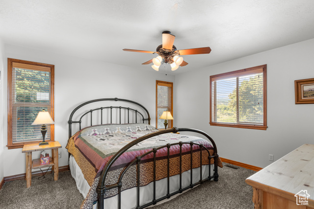 1340 Trapper Loop Garden City, UT 84028 - Photo 15 of 35 Carpeted bedroom featuring multiple windows and ceiling fan