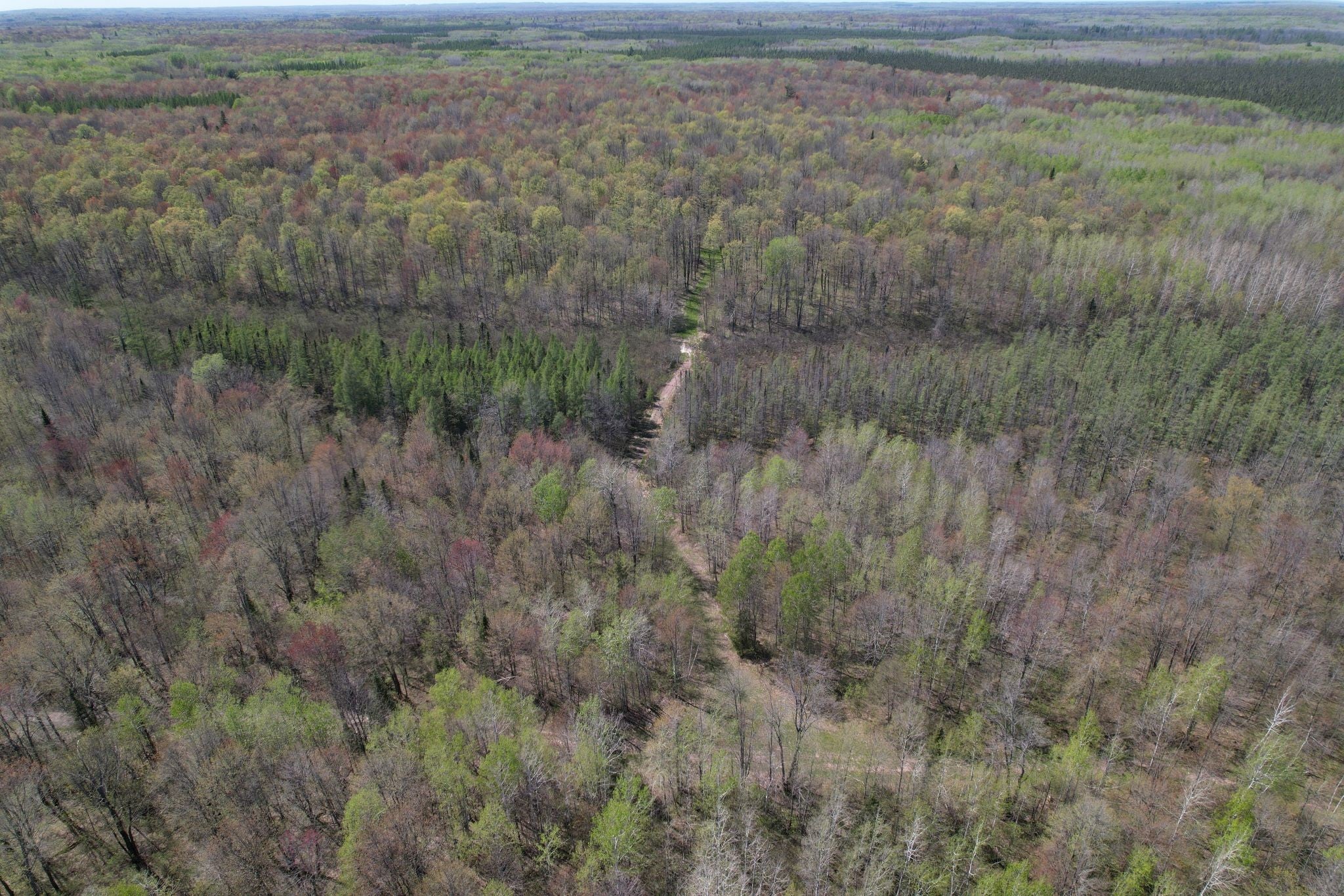 Off Hay Creek Road Prentice, WI 54556 - Photo 6 of 44 Gallery Image 6
