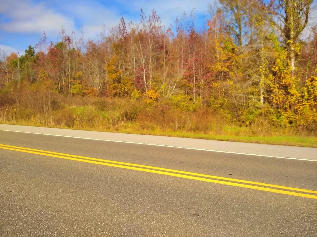 0 State Highway Decatur, TN 37322 - Photo 3 of 9 Gallery Image 3