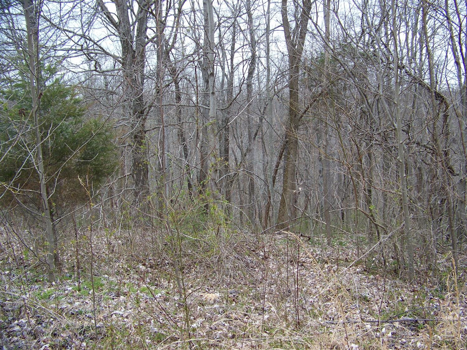 740 Horse Ridge Road Stanford, KY 40484 - Photo 7 of 22 Listing Photo
