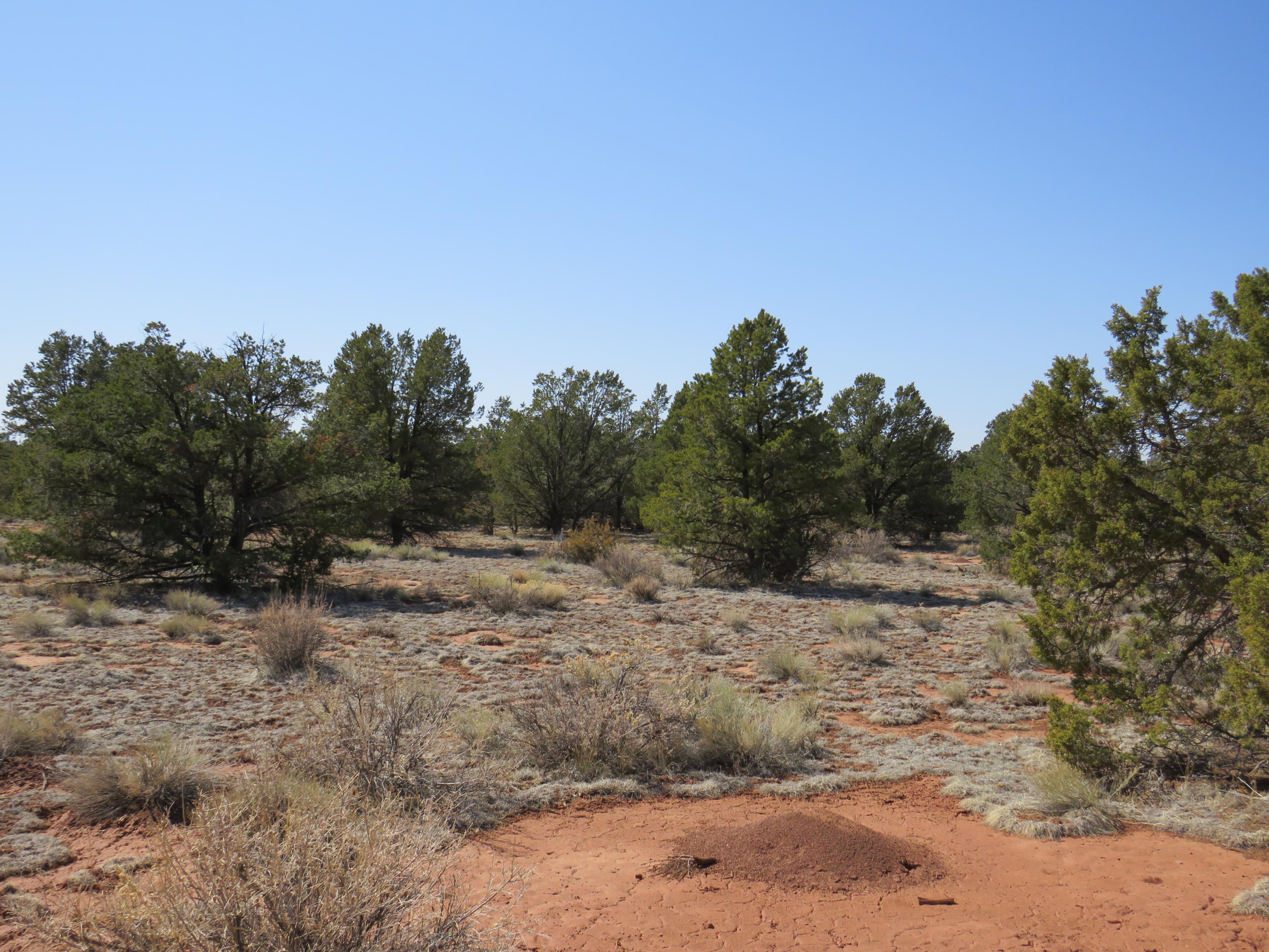 4392 North Bull Run Road, Unit 179 Williams, AZ 86046 - Photo 8 of 22 IMG_0272