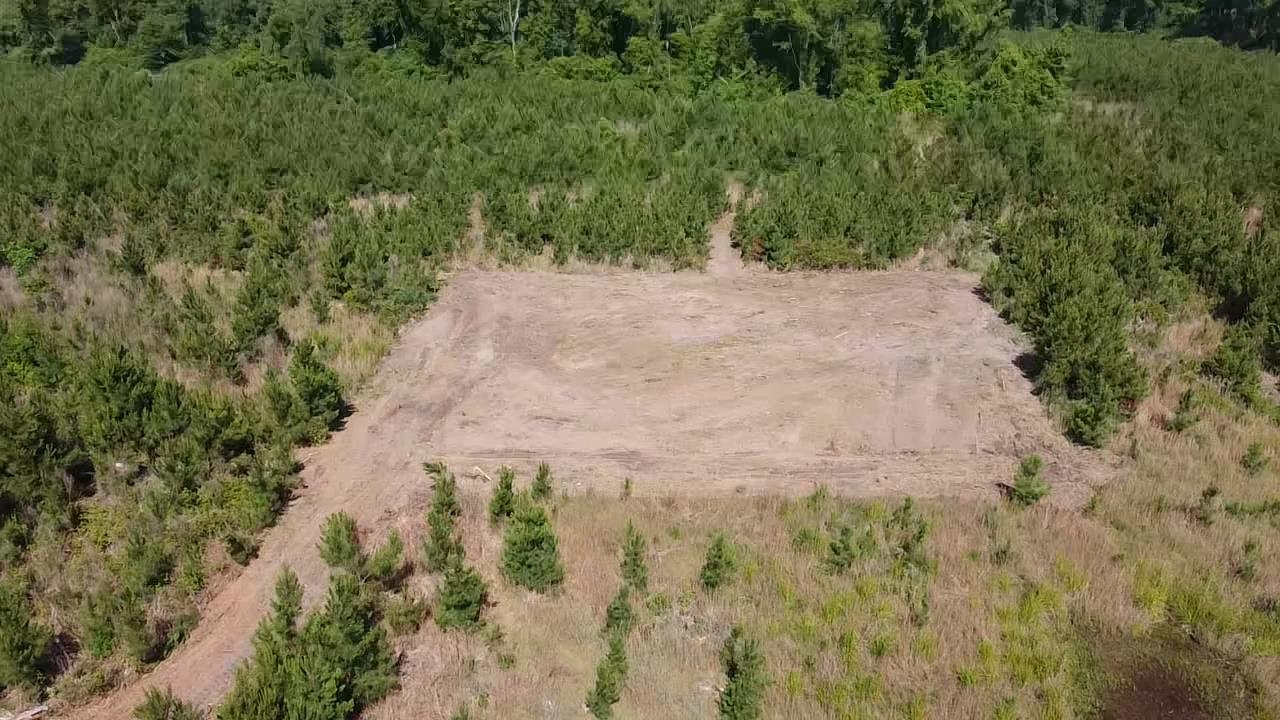 Lot 3 Attadale Road Blenheim, SC 29516 - Photo 2 of 7