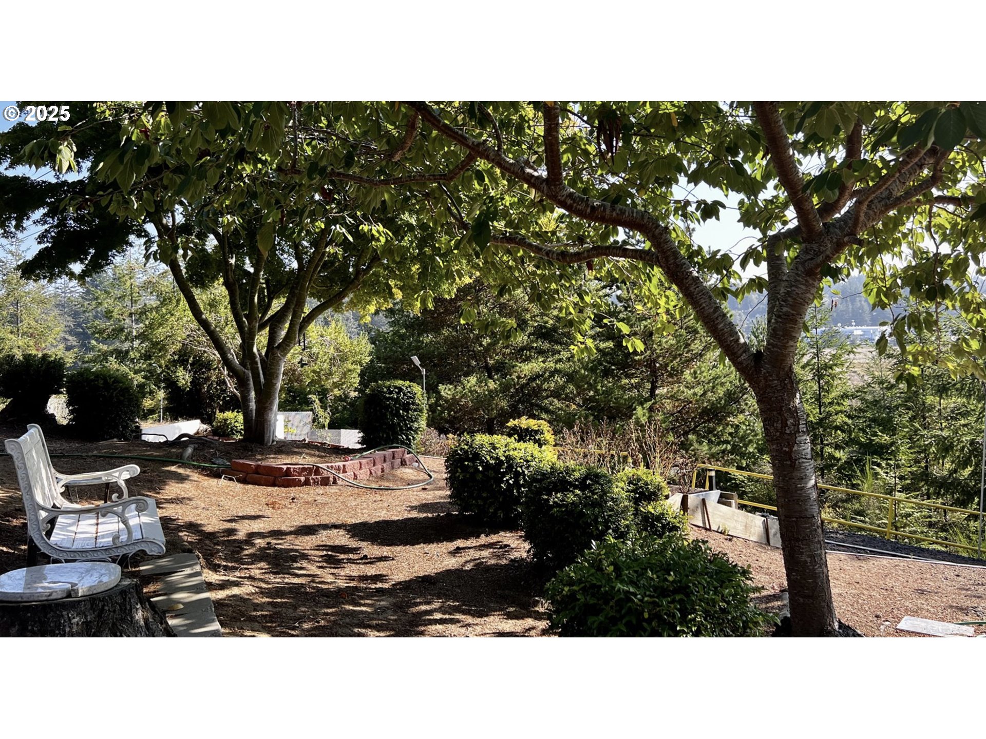 2719 Alder Ridge Drive North Bend, OR 97459 - Photo 9 of 27 a view of a park with large tree