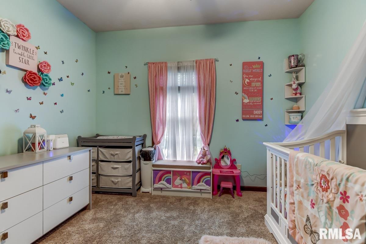4775 County Road 6 1/4 South Rochester, IL 62563 - Photo 24 of 50 Gallery Image 24