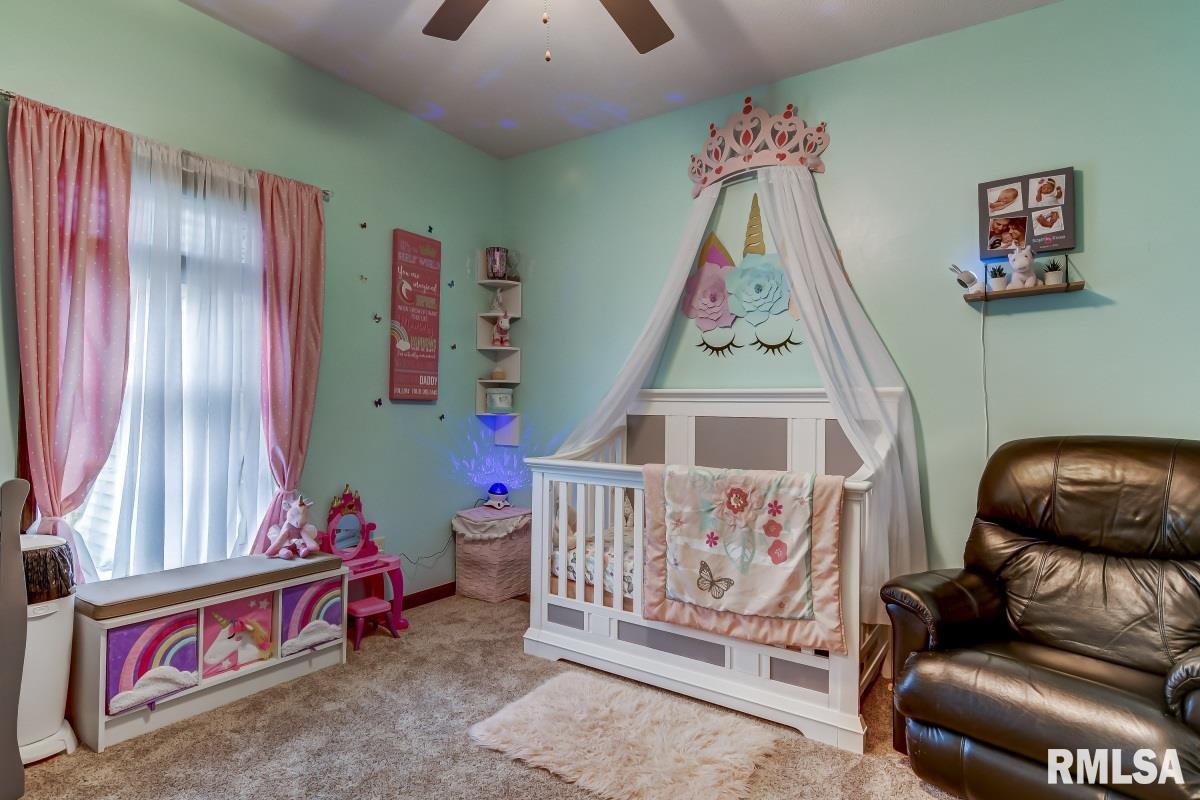 4775 County Road 6 1/4 South Rochester, IL 62563 - Photo 25 of 50 Gallery Image 25