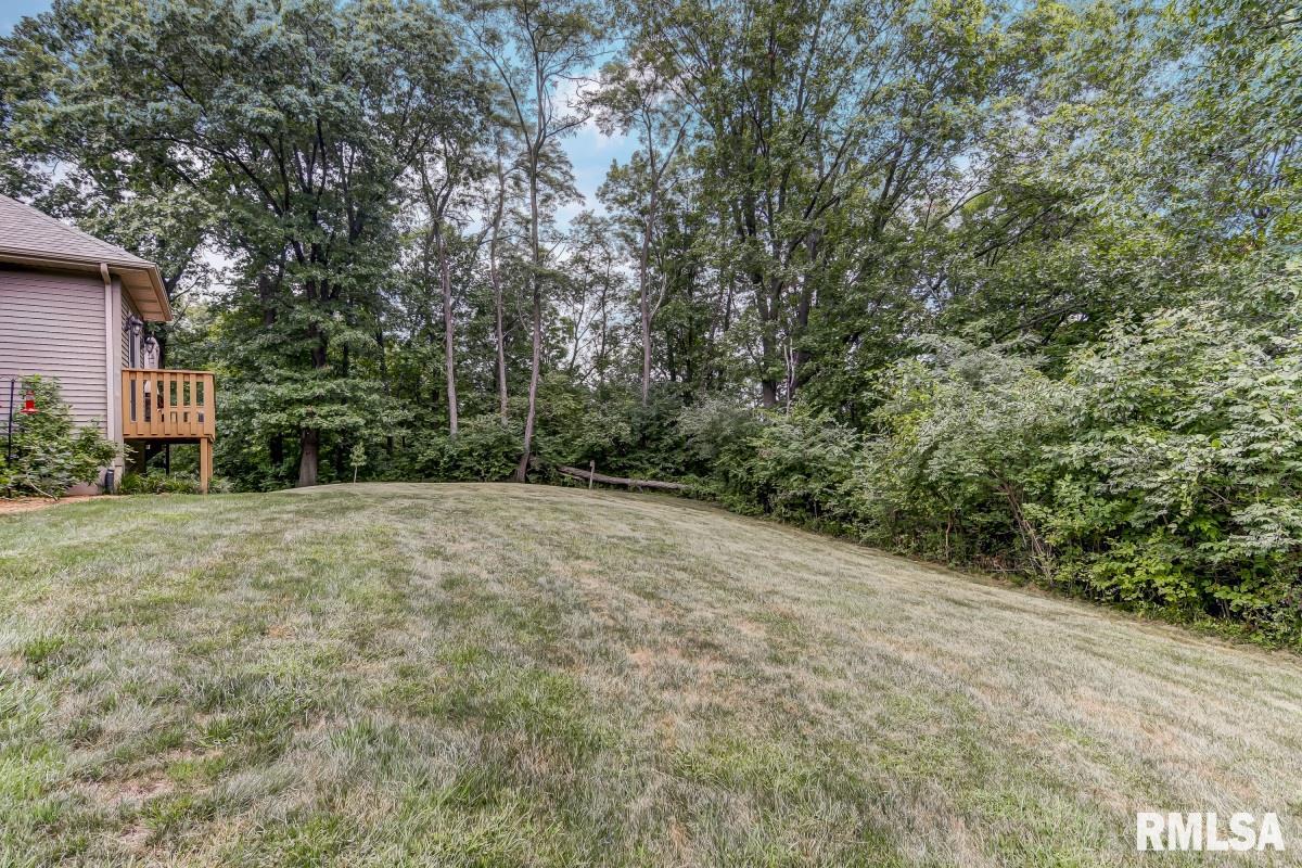 4775 County Road 6 1/4 South Rochester, IL 62563 - Photo 42 of 50 Gallery Image 42