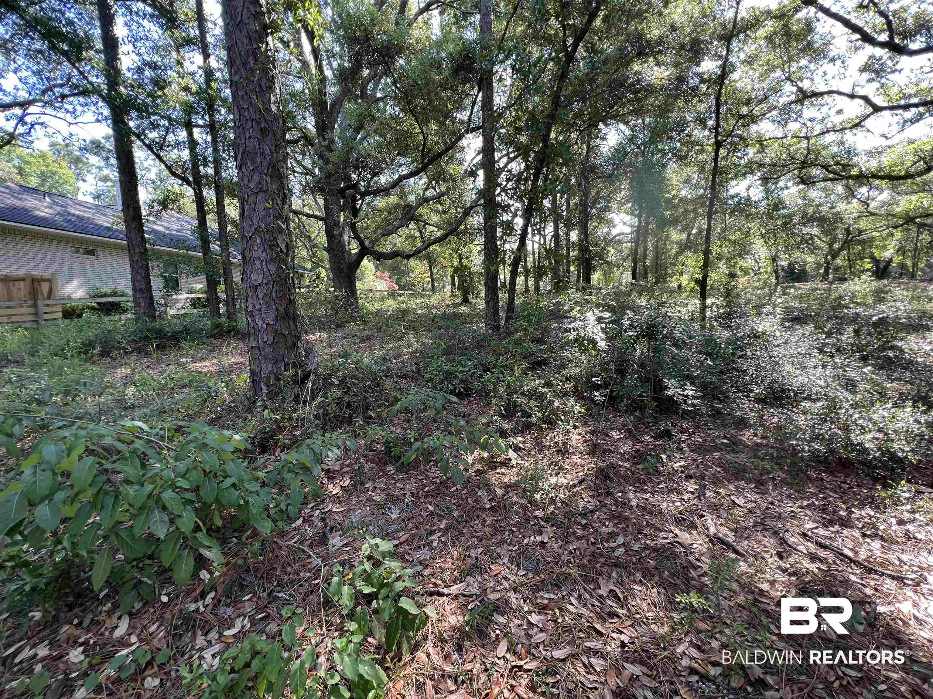 9545 North Bayou Road Lillian, AL 36549 - Photo 23 of 34 View of local wilderness