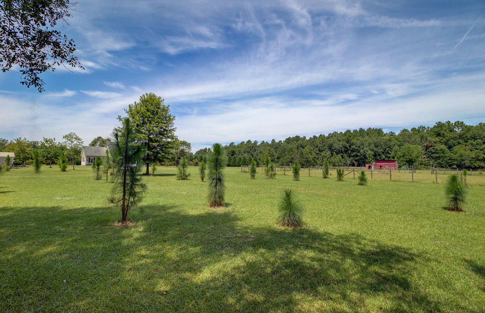 691 2 Churches Road Dorchester, SC 29437 - Photo 10 of 48 30