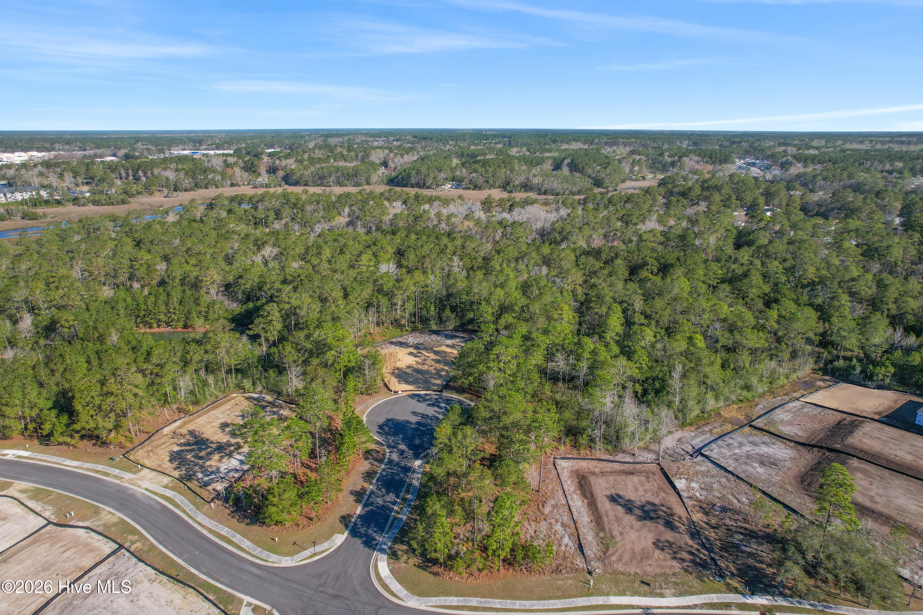 3398 Discovery Bay Road Shallotte, NC 28470 - Photo 5 of 21 .3 Acre Corner Interior Lot