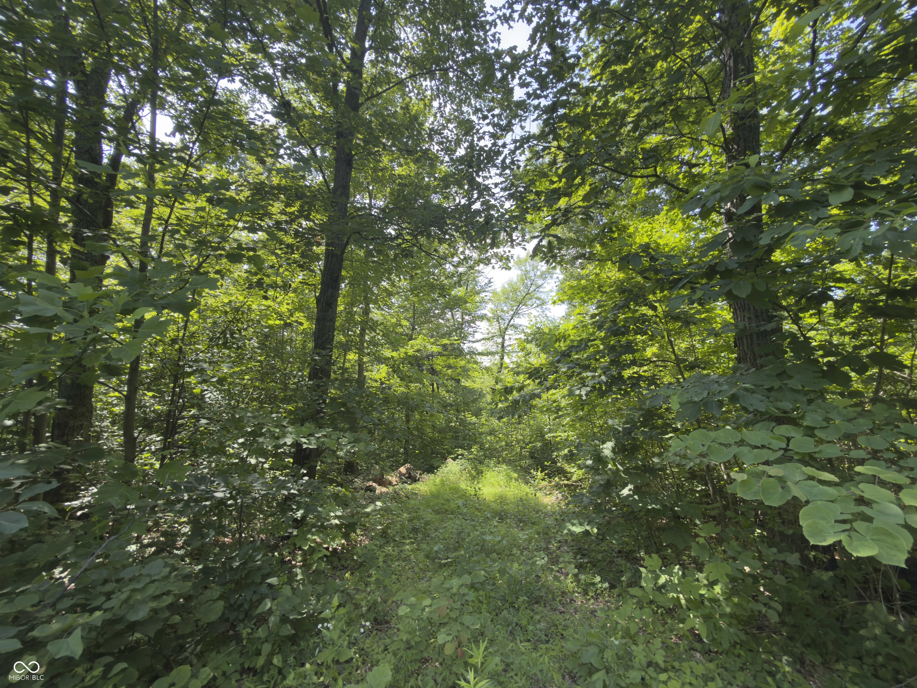 0 Carter Solsberry, IN 47459 - Photo 16 of 22