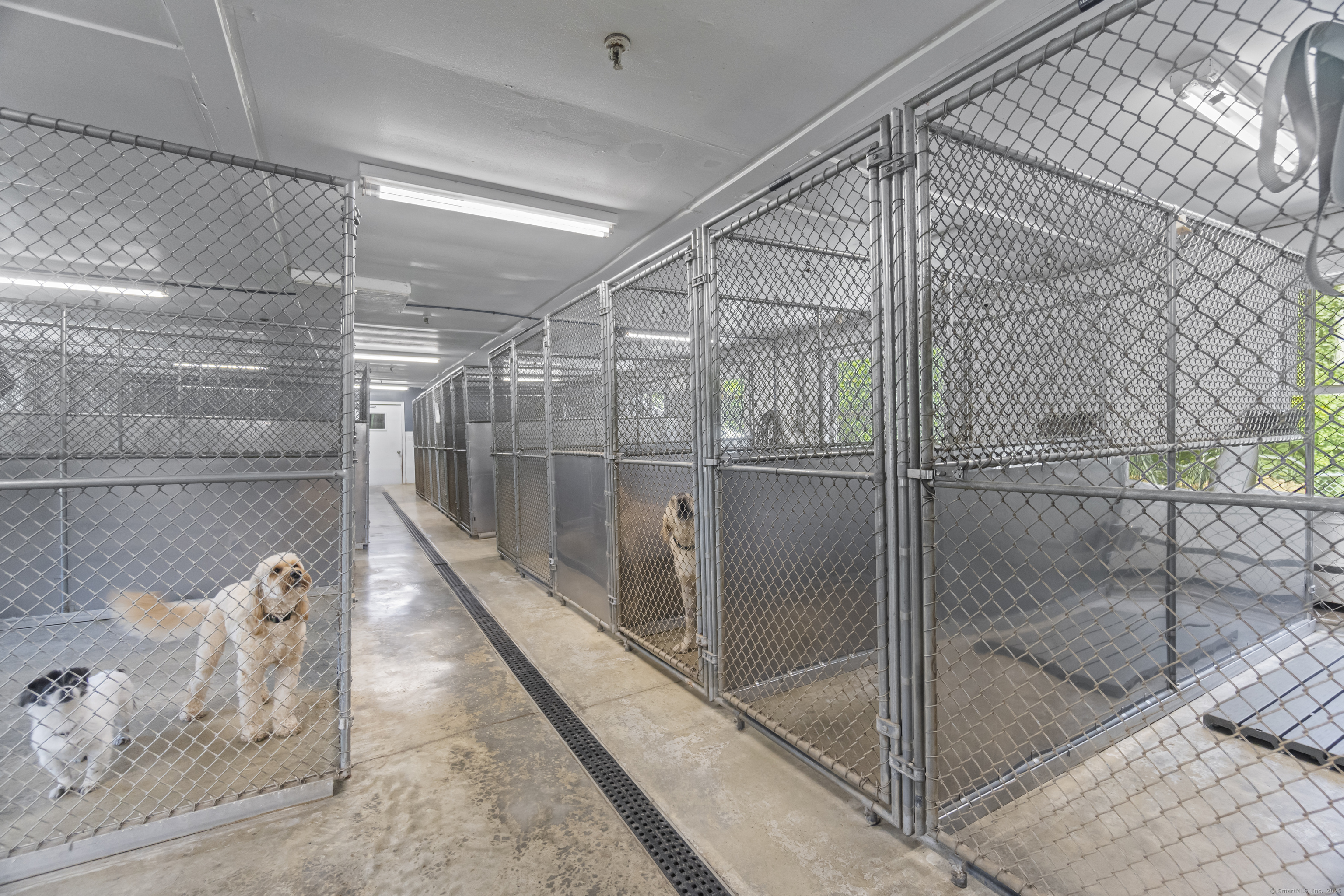 319 Main Street South Bethlehem, CT 06751 - Photo 13 of 33 a bathroom with a glass shower door