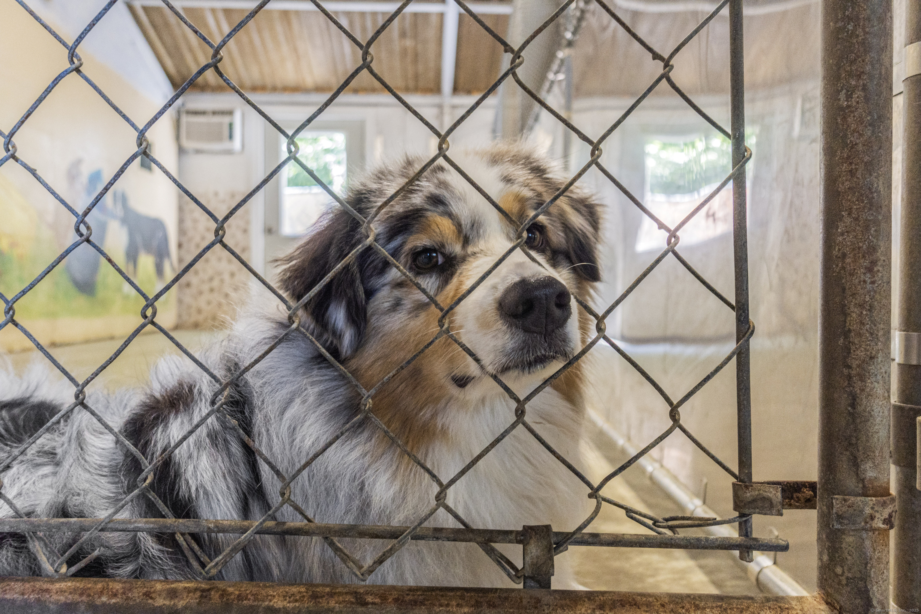 319 Main Street South Bethlehem, CT 06751 - Photo 17 of 33 a backyard of a house