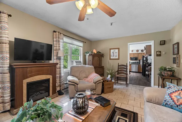 a living room with furniture a fireplace and a flat screen tv