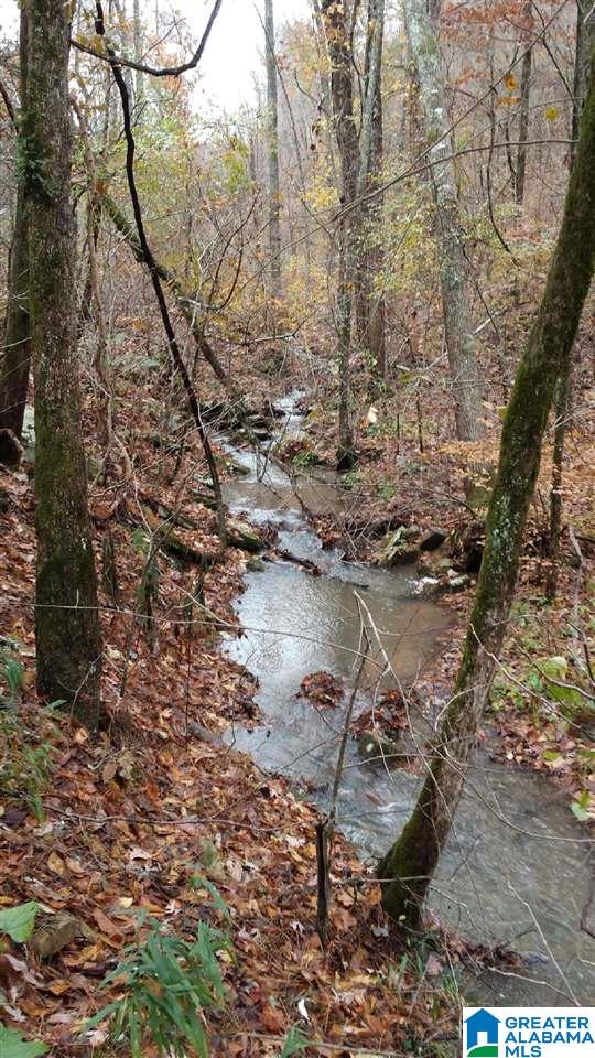 306 Cannon Ball Road Jacksonville, AL 36265 - Photo 23 of 25