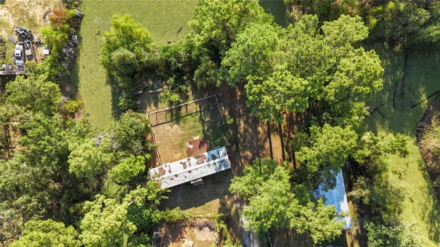 a view of a garden with plants