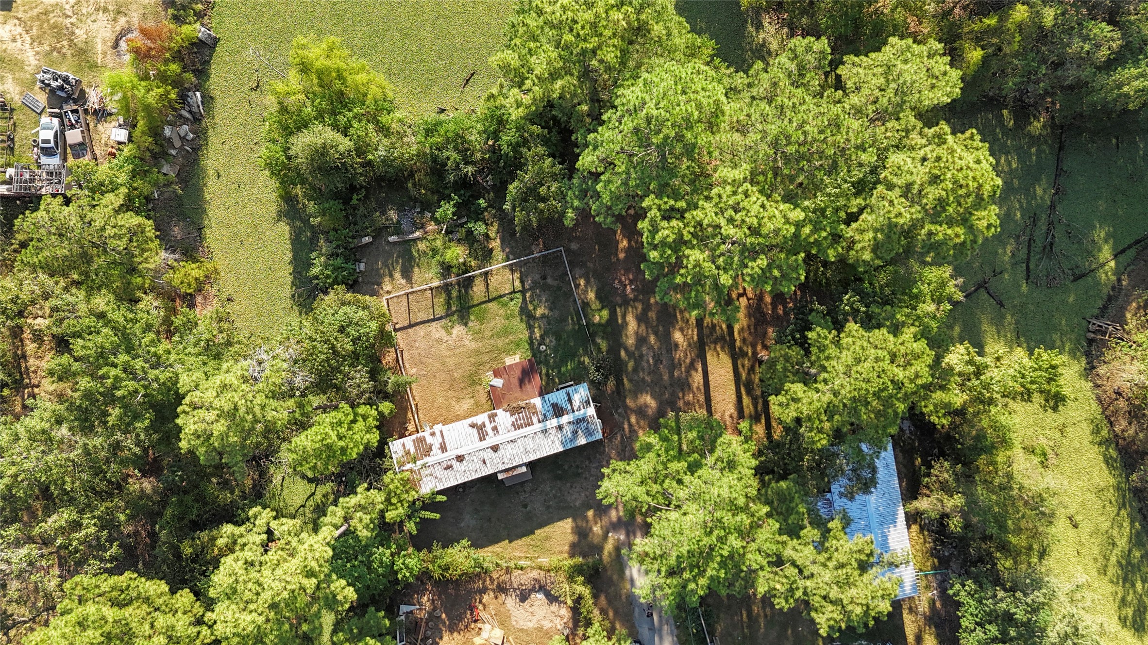 a view of a garden with plants