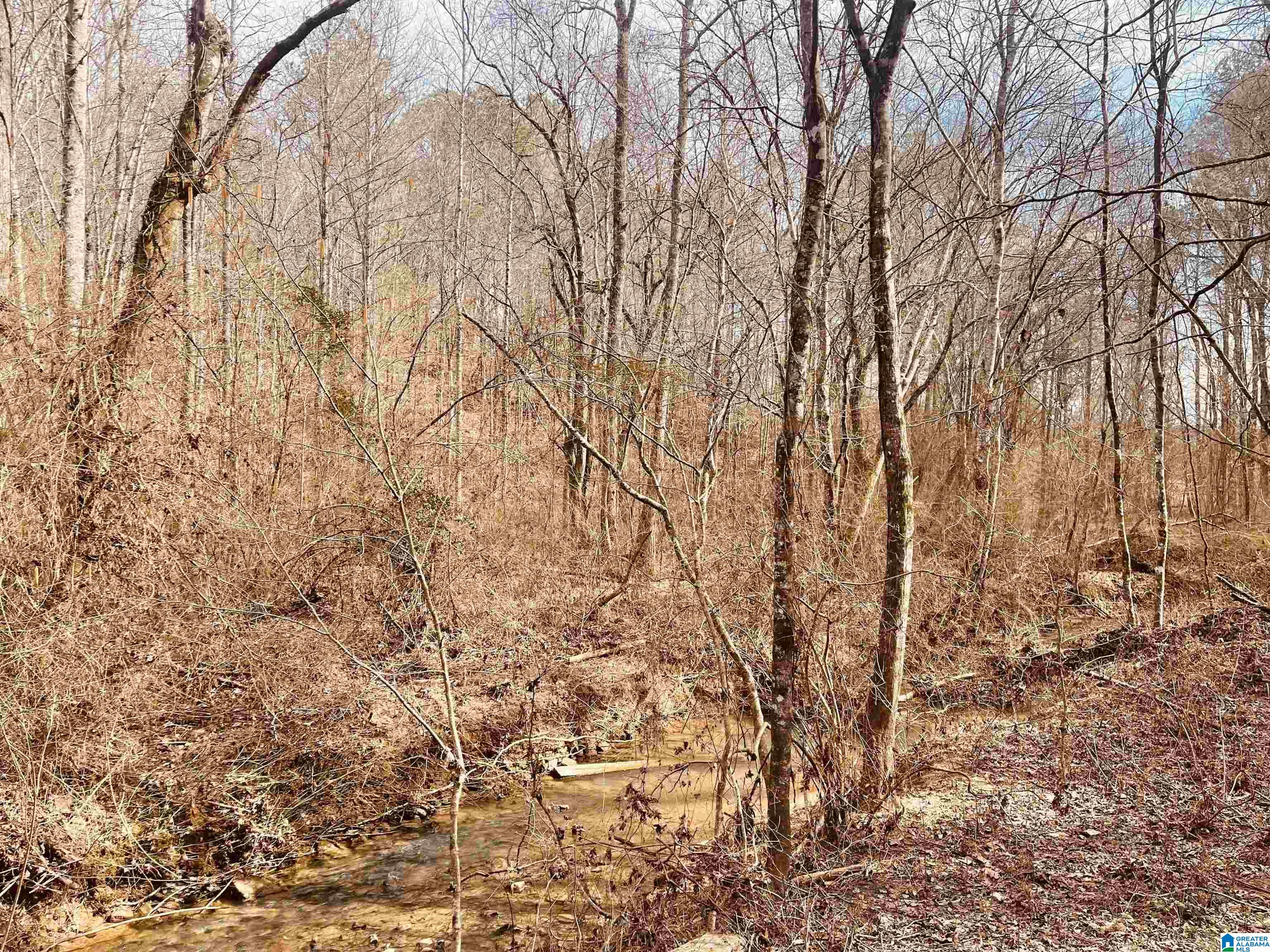 3285 Popes Chapel Road Ragland, AL 35131 - Photo 49 of 60 Gallery Image 49