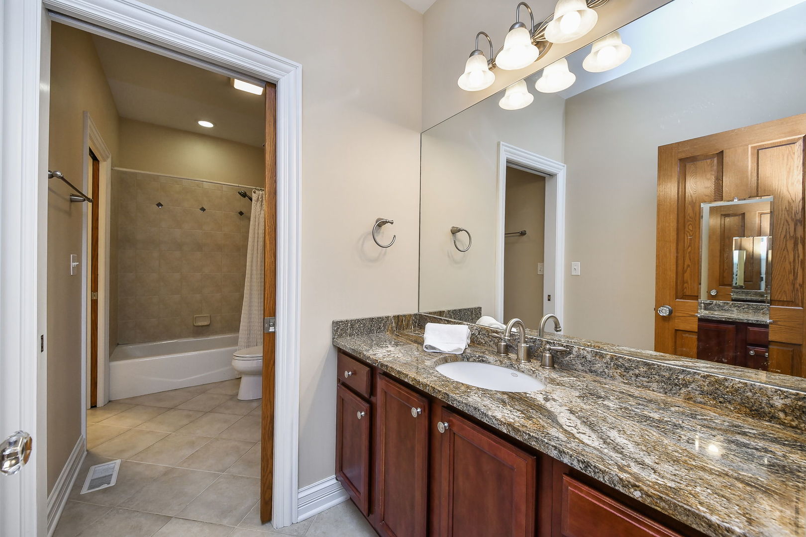 821 Wellner Road Naperville, IL 60540 - Photo 32 of 56 a bathroom with a granite countertop sink a large mirror and a shower