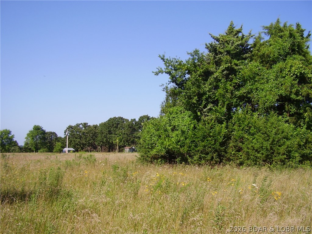 3525 South 240th Road Louisburg, MO 65685 - Photo 6 of 17