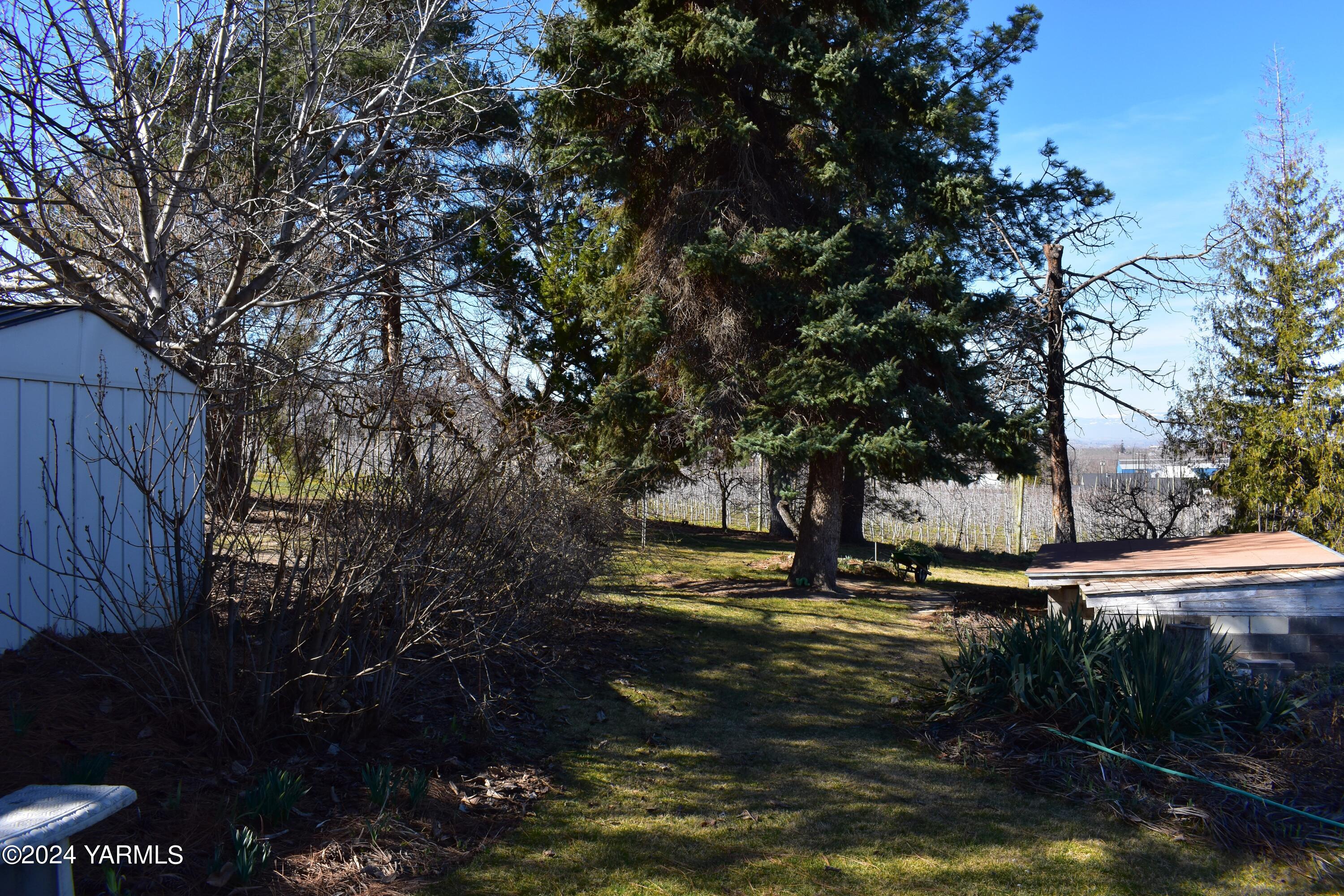 210 Desmarais Road Moxee, WA 98936 - Photo 18 of 21 a view of water with tree