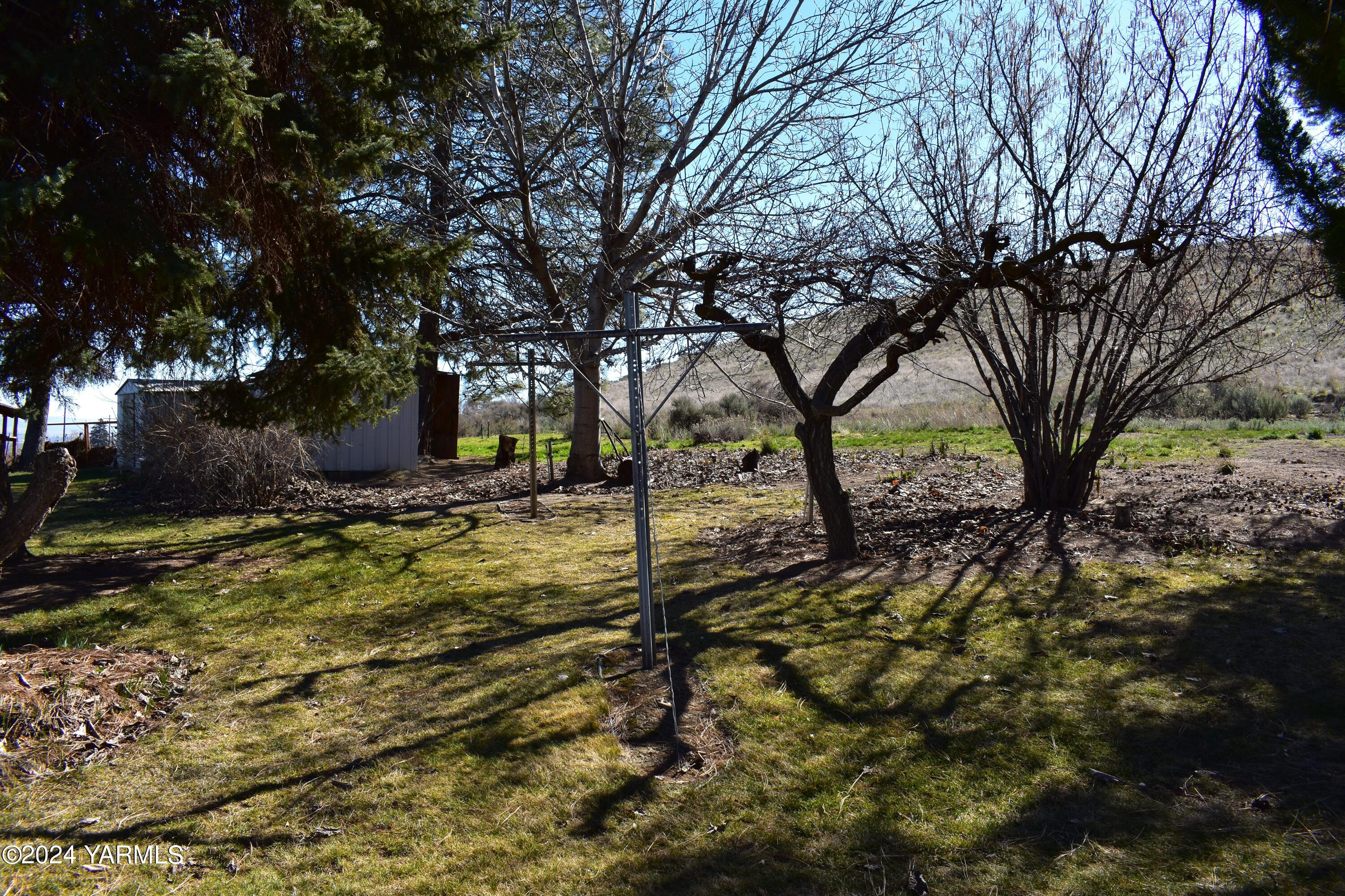 210 Desmarais Road Moxee, WA 98936 - Photo 20 of 21 a view of yard with tree