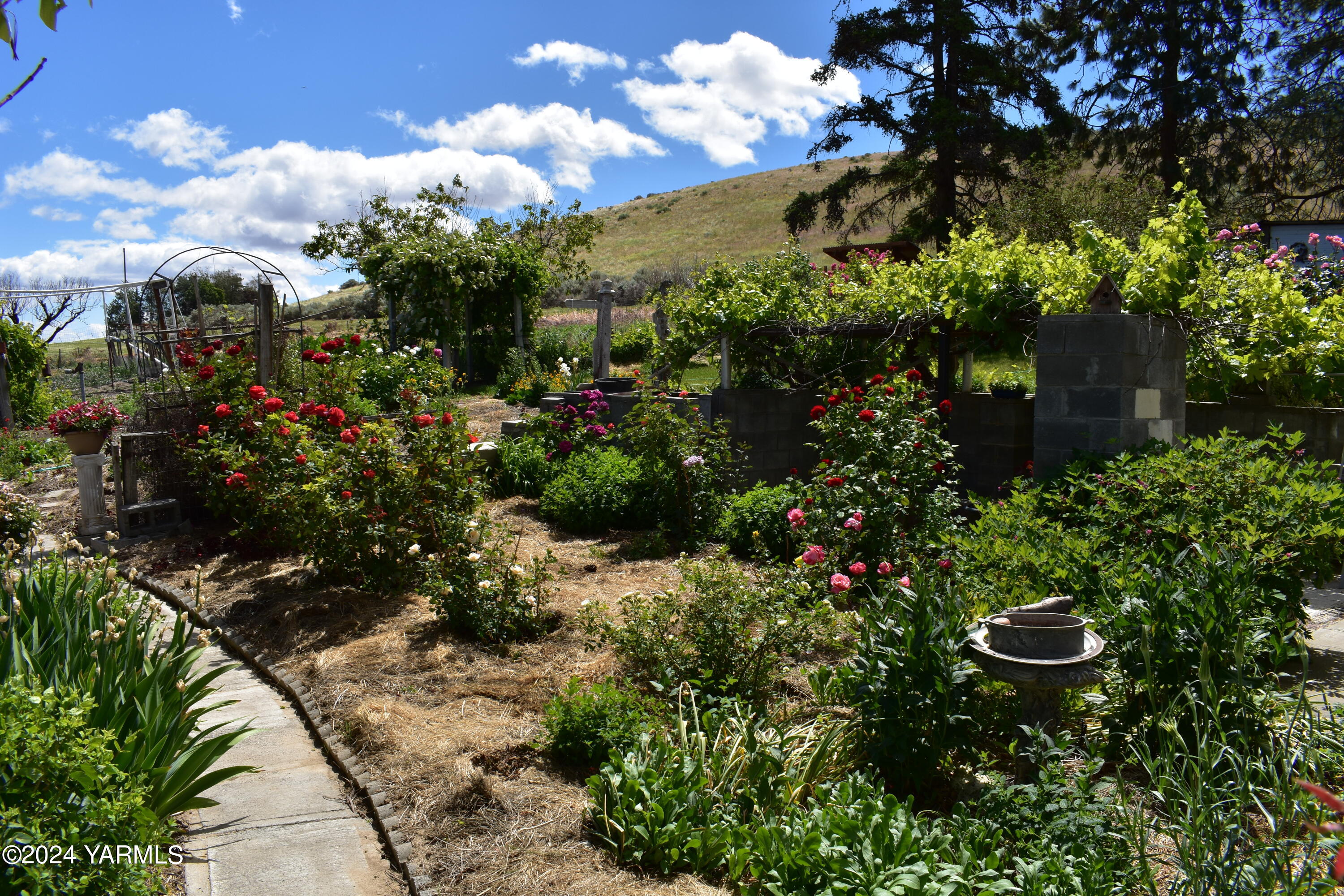 210 Desmarais Road Moxee, WA 98936 - Photo 3 of 21 a view of a garden